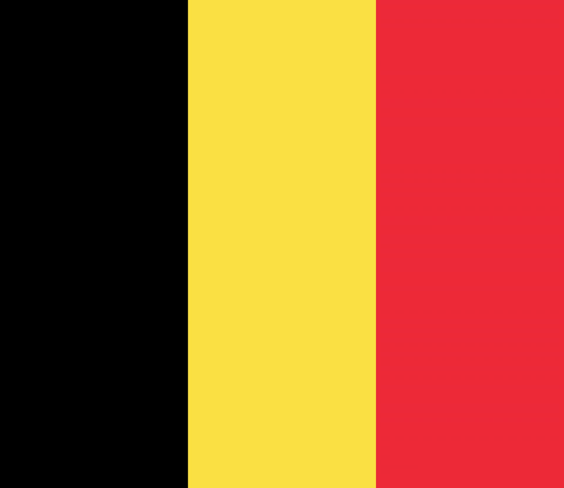 Бельгия flag