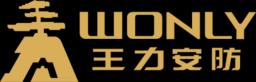 Только