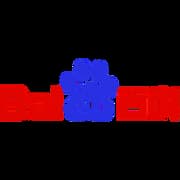 Baidu, Inc.
