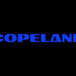 Copeland LP (EMRLD Borrower LP)