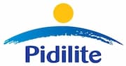 Компания «Pidilite Industries Limited»