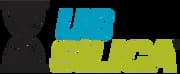 U.S. Silica Holdings, Inc.
