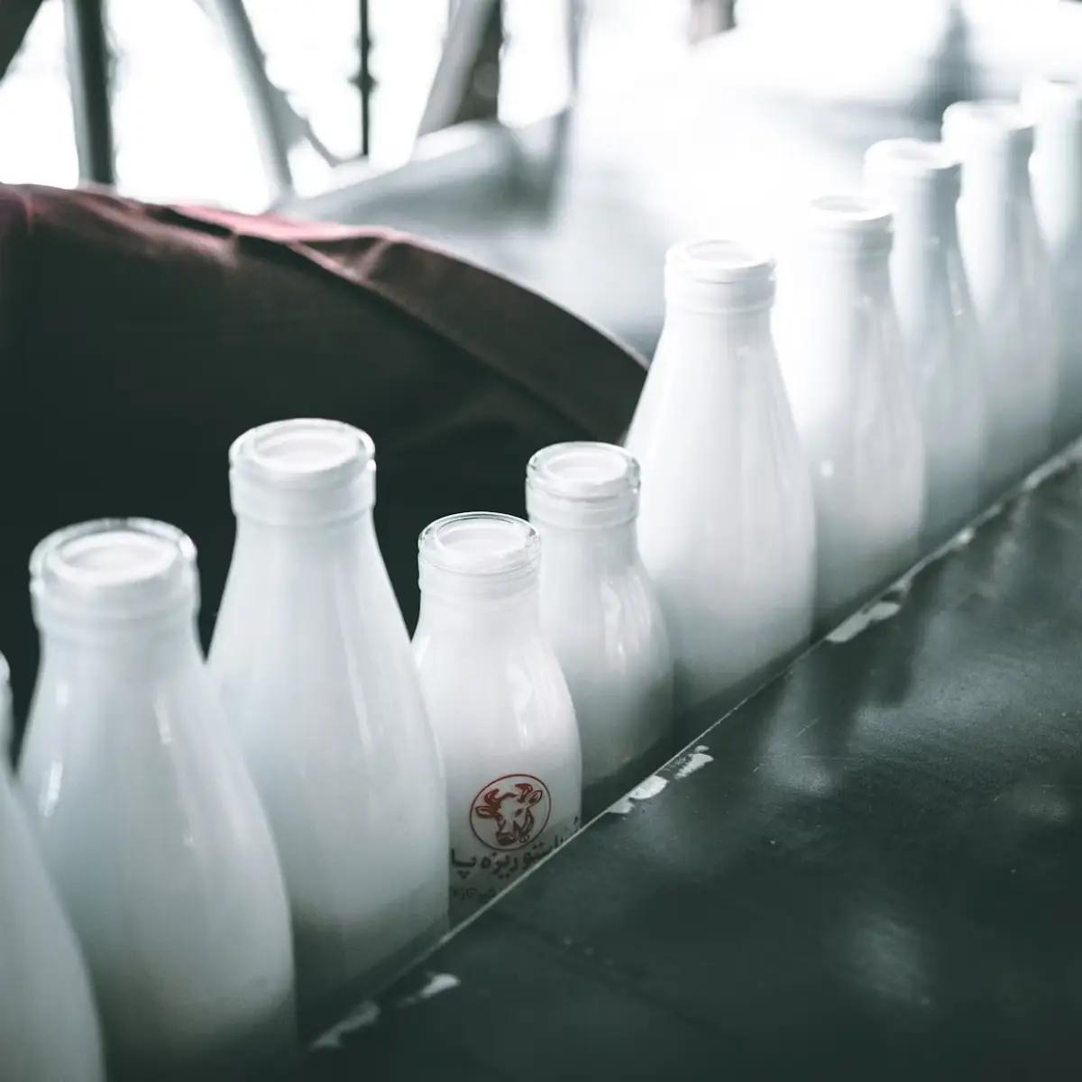 Поставщики молочной и яичной продукции
